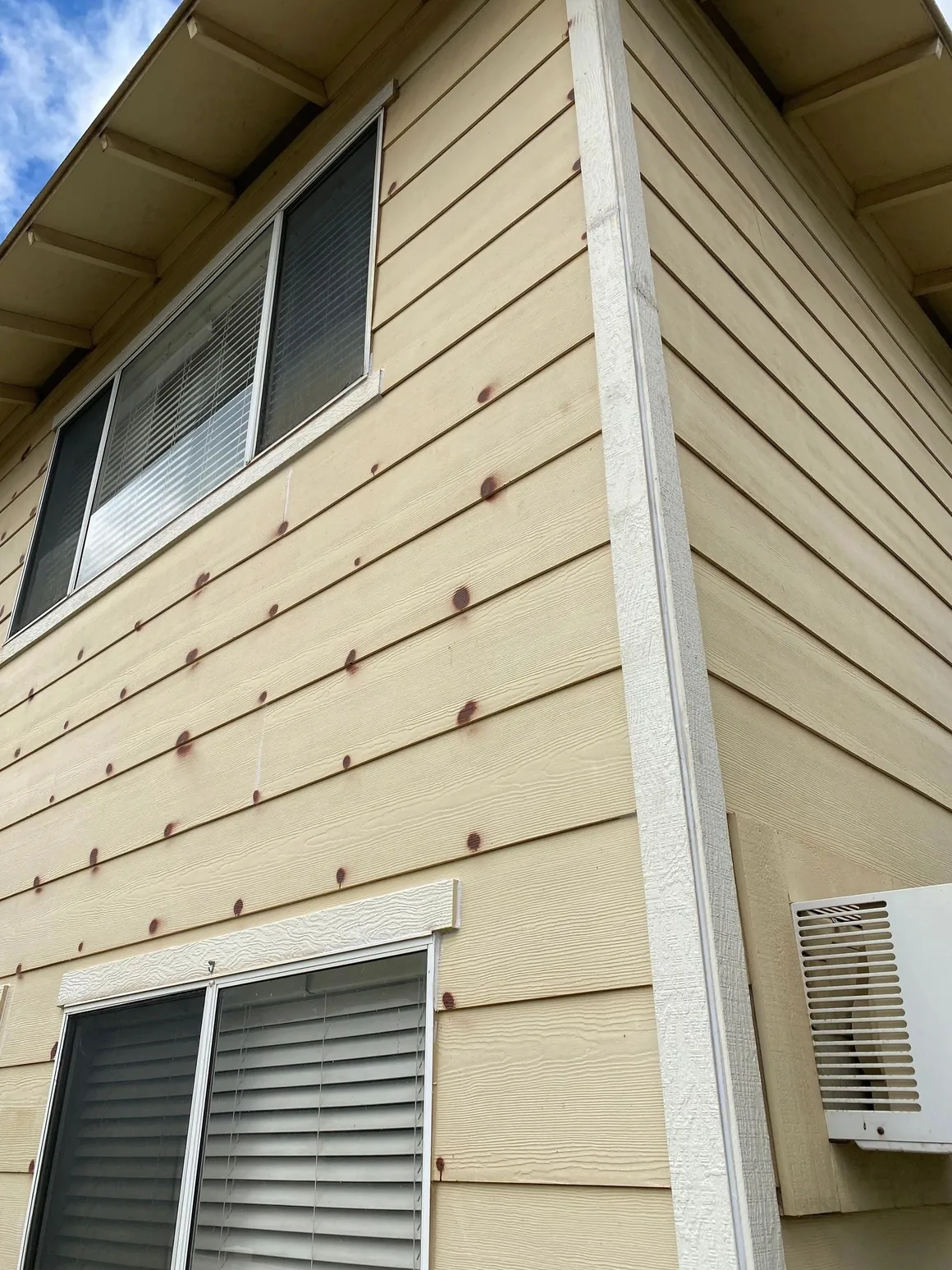 Rs=w 1160,h 1547 (6)