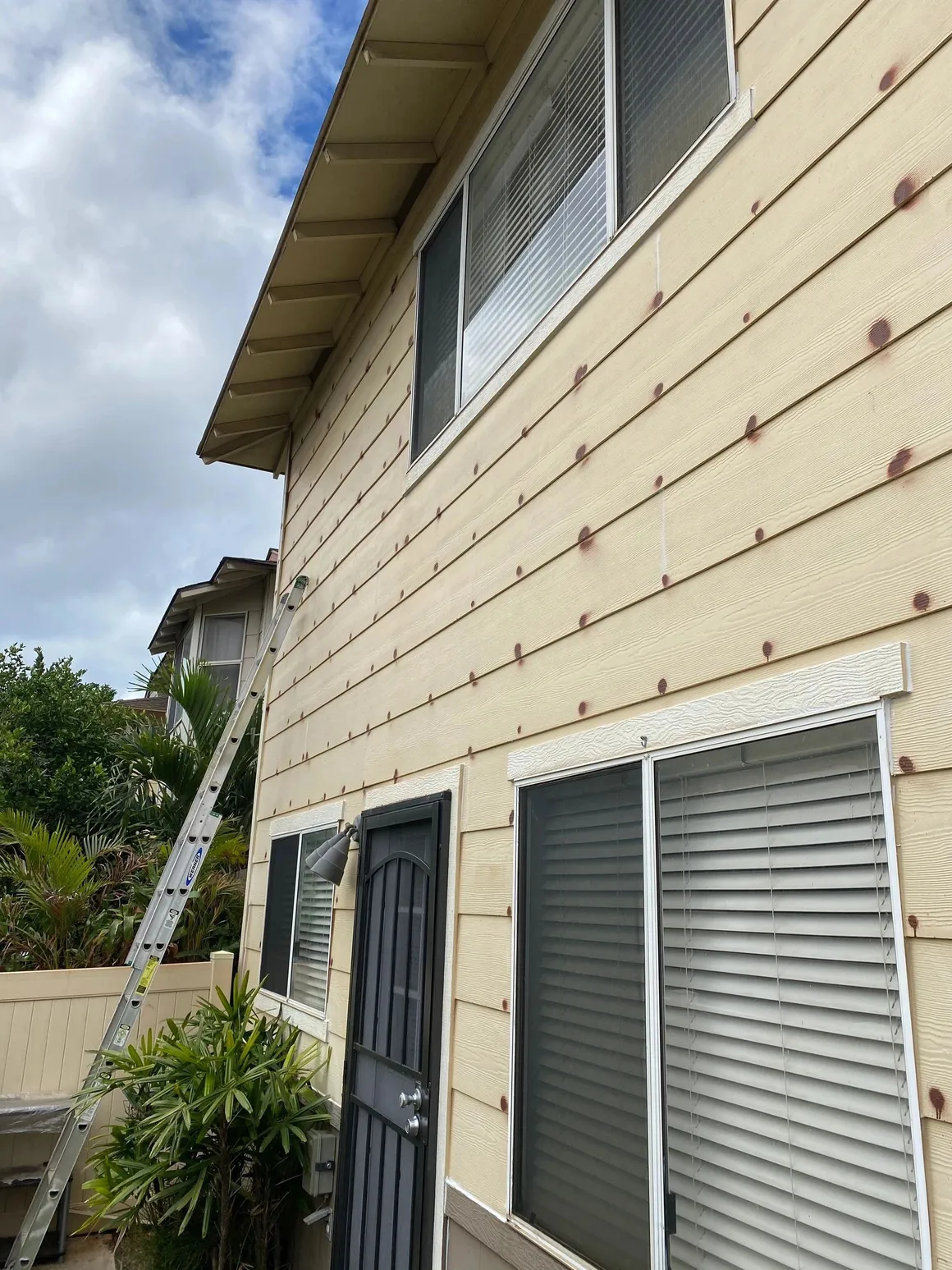 Rs=w 1160,h 1547 (7)